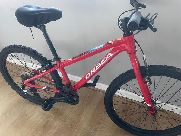 Orbea mx best sale 24 dirt 2019