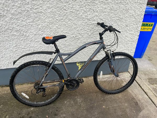 Muddyfox flare mountain bike sale