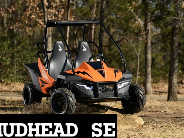 Phil and teds 2024 off road buggy