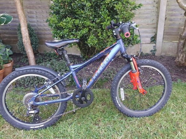 Carrera 20 cheap inch mountain bike