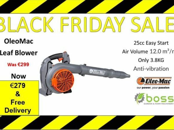 Leaf blower shop black friday