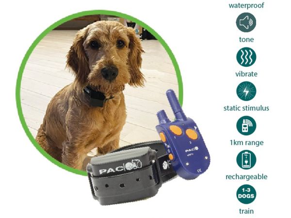 Pac electric 2024 dog collar