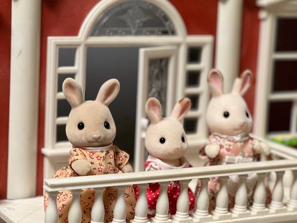 Sylvanian families store done deal