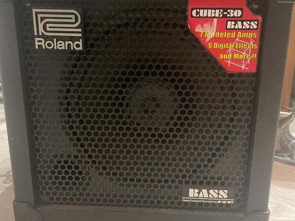 Roland cube 30 online amp for sale