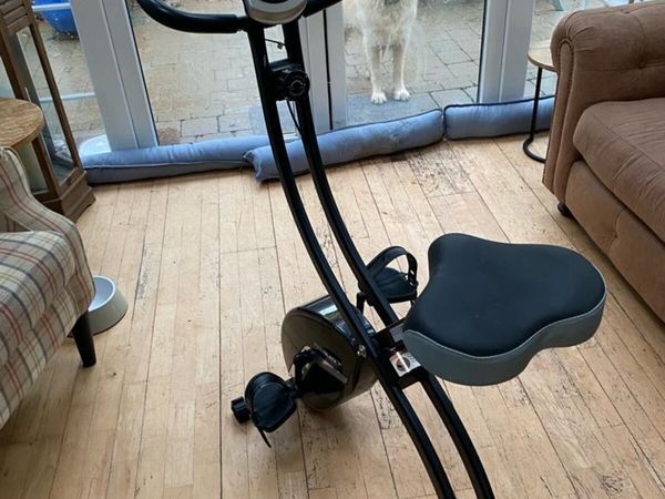 Roger black gold folding exercise online bike