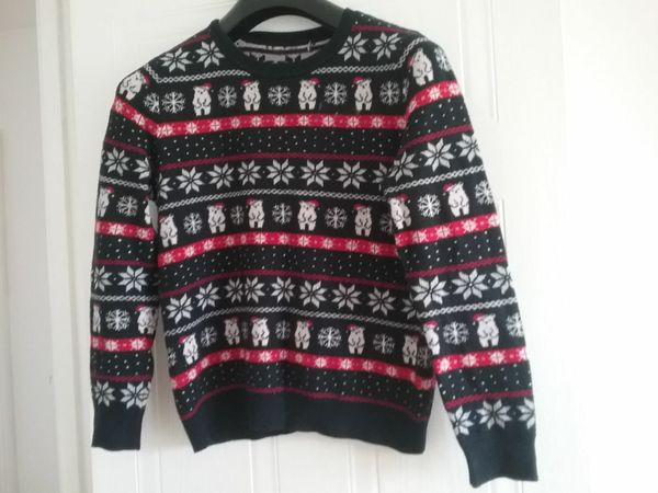 Christmas Jumper 10 12yrs for sale in Co. Dublin for 6 on DoneDeal