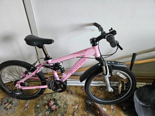 Girl bike shop 20 inch sale