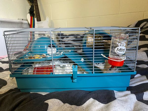 Mice cages shop for sale