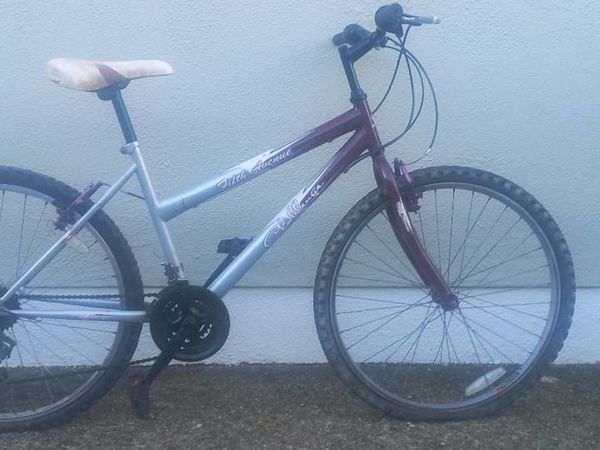 Ladies Mountain Bike for sale in Co. Westmeath for 60 on DoneDeal