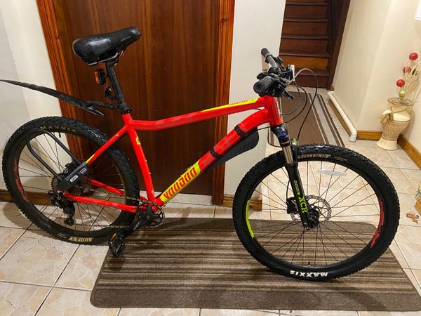 Donedeal best sale mountain bikes