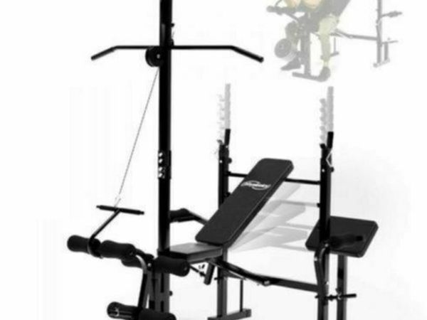 Pro fitness outlet multi bench