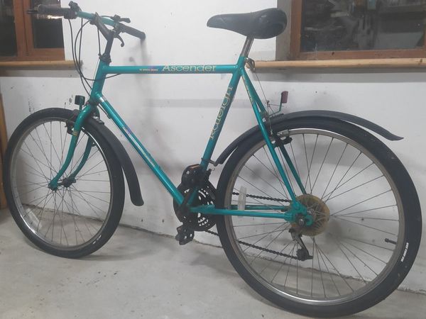 Raleigh ascender best sale mountain bike