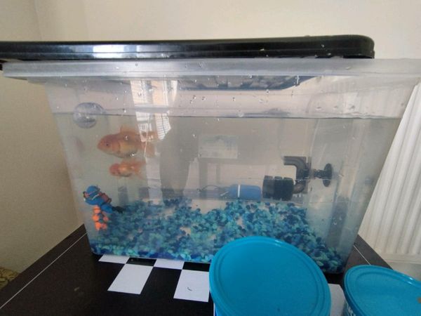 Aquarium accessories cheap for sale