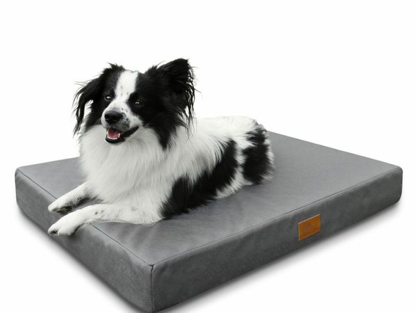 Orthopedic dog bed clearance ireland