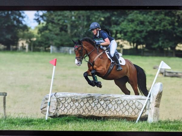 Cross country best sale riding hat