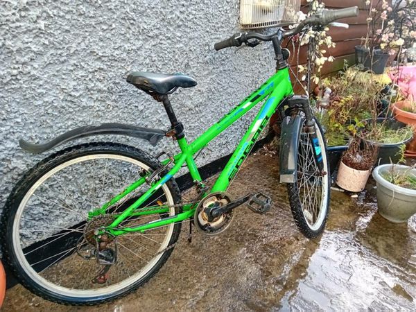 Edgar bike 2024 24 inch