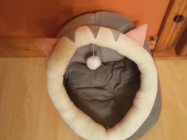 Dog beds clearance homestore and more