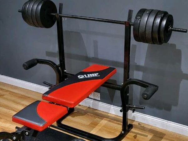 Elverys best sale weights bench