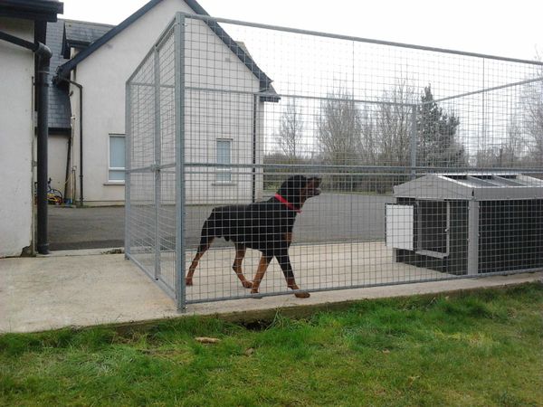 Diy dog clearance kennel and run