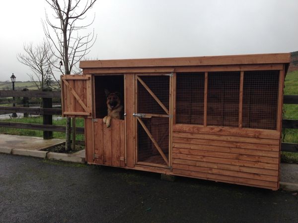 Dog boxes hotsell for sale