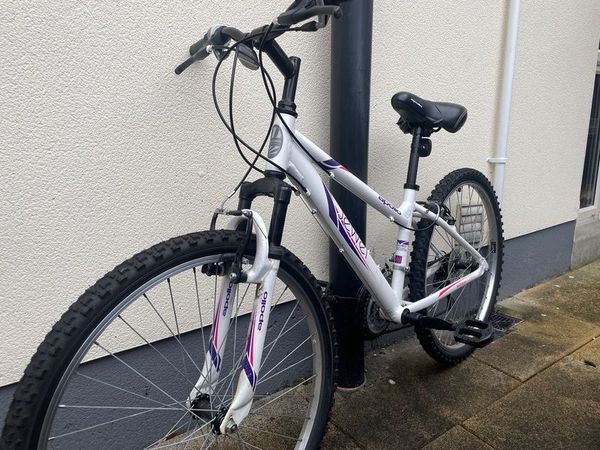 Used ladies deals mountain bike