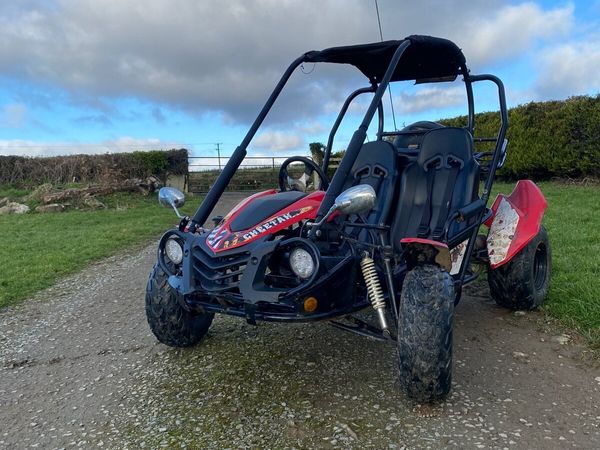 Quadzilla buggy sale 250cc