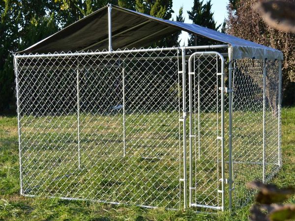 Donedeal french hot sale bulldog