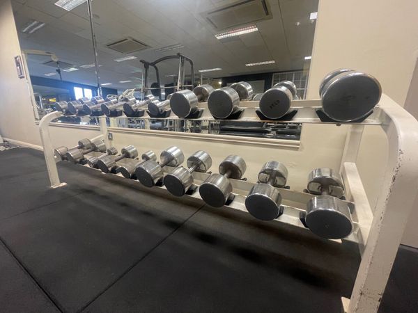 Cast iron dumbbells for sale hot sale
