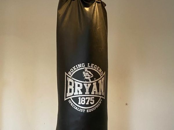 Bryan cheap punch bag