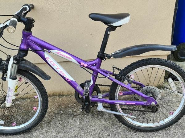 Girls carrera hotsell mountain bike