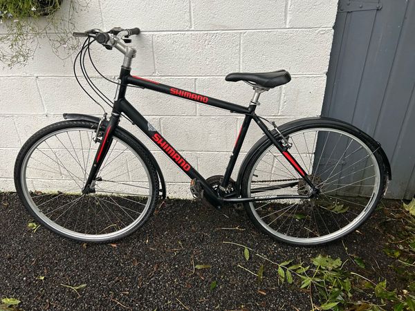 Raleigh discount urban 700