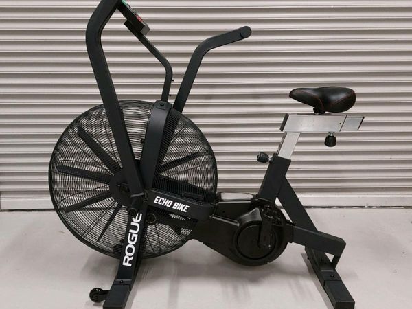 Rogue echo bike online on sale