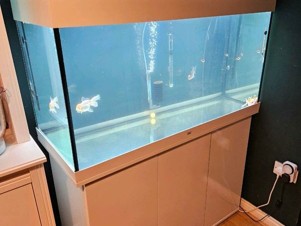 Jewel fish clearance tank