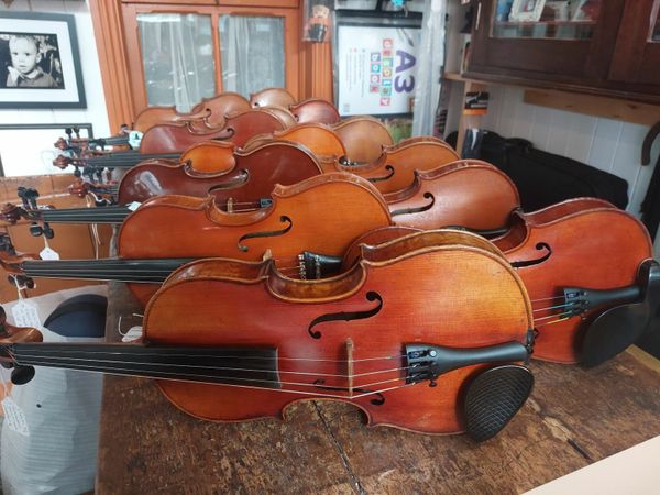 The old deals violin shop