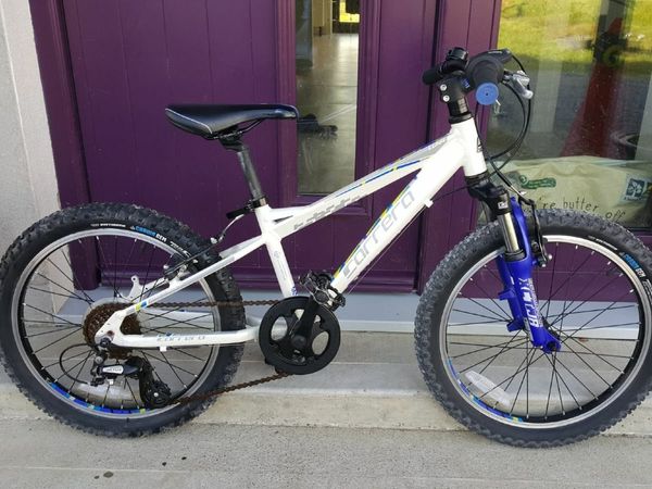 Carrera 20 sale inch mountain bike