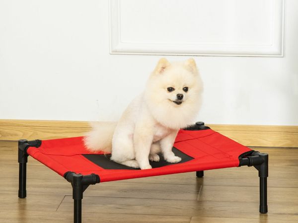 Raised dog beds ireland cheap