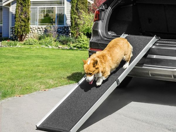 Dog discount ramps ireland