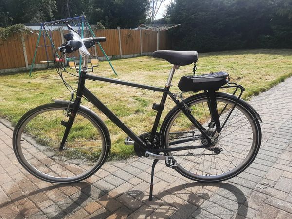 Raleigh pioneer for online sale