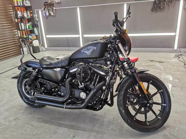 Harley davidson 883 iron online 2016 for sale