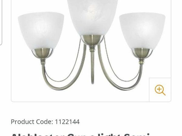 Woodies deals ceiling lights