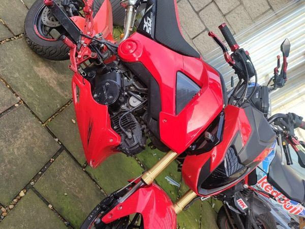 Stunt grom deals for sale