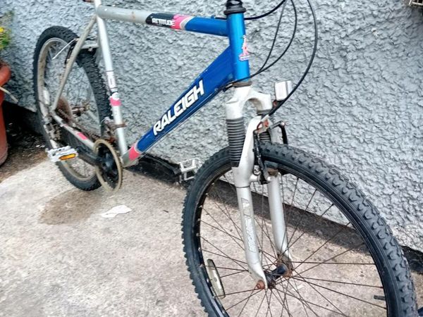 Raleigh attitude mountain bike hot sale