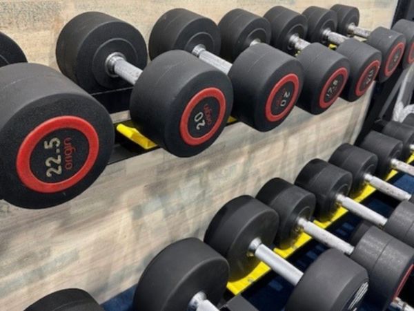 35kg 8 Gym Equipment Ads For Sale in Ireland DoneDeal