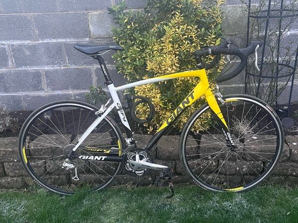 Giant defy yellow and hot sale black