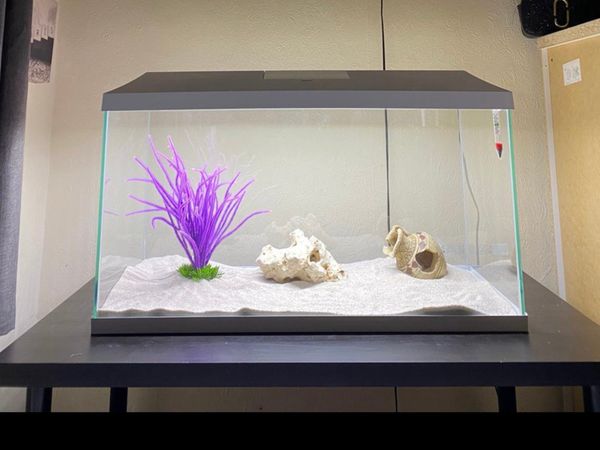 Sell fish tank sales