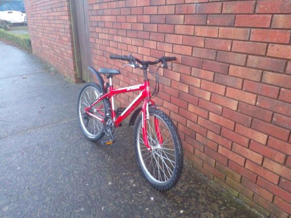 Raleigh eliminator hot sale 24