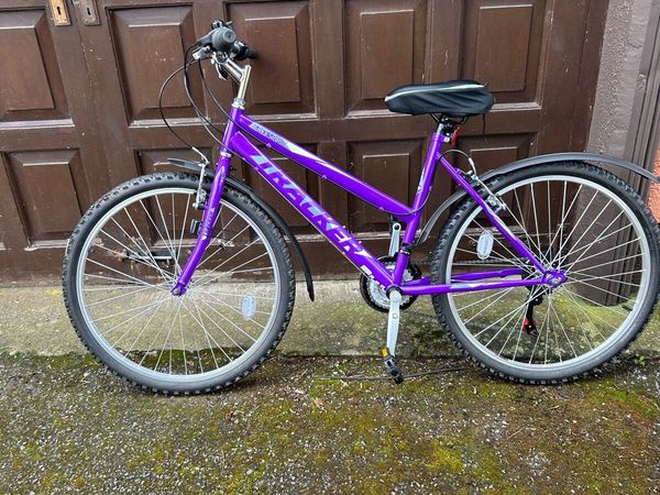 Ladies mountain discount bike for sale