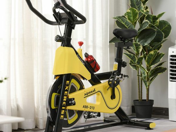 Homestore and discount more spin bike