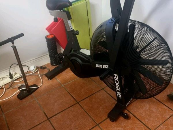 Rogue echo bike for sale online used