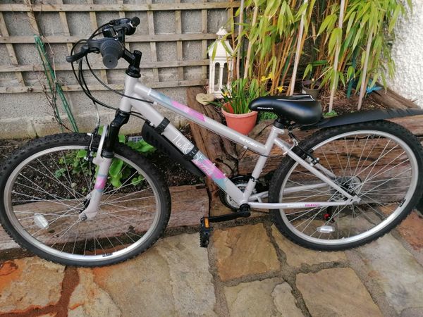 Trayl mountain cheap bike 24 inch